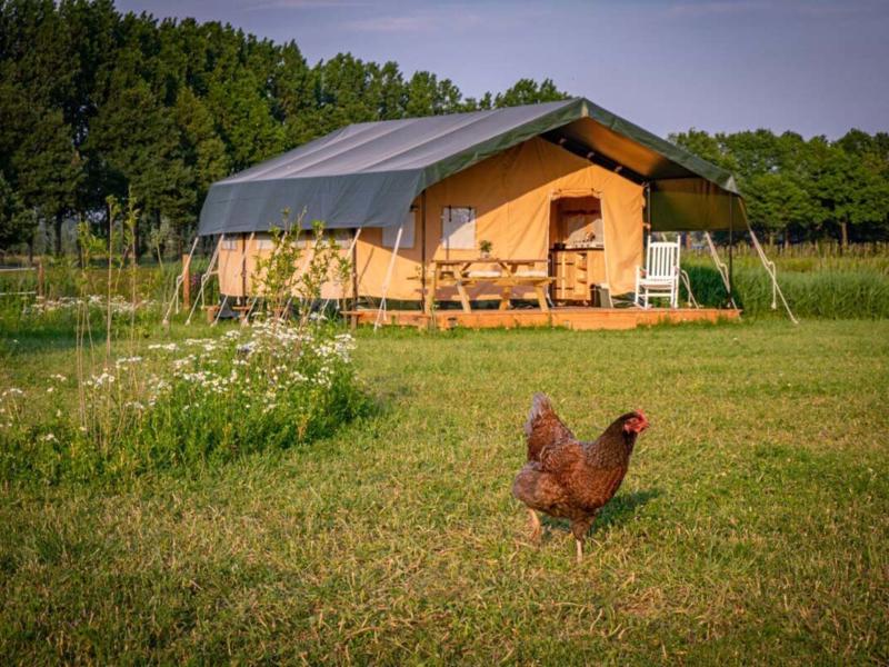 Foto van Klein Haneveld