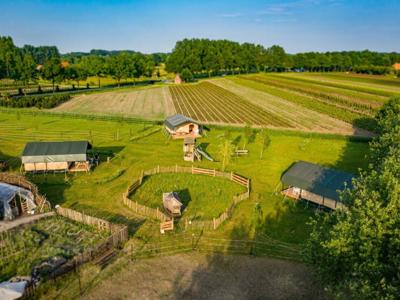 Thumbnail 2 van Klein Haneveld