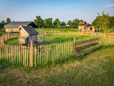 Thumbnail 3 van Klein Haneveld