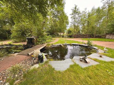 Thumbnail 3 van De Beerte