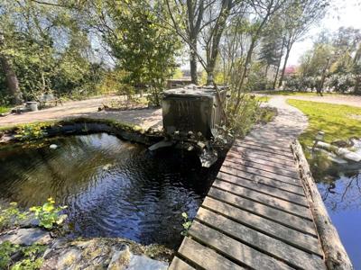 Thumbnail 5 van De Beerte