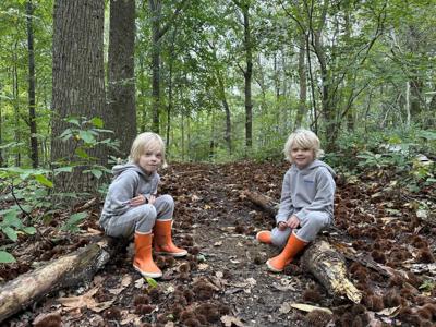 Thumbnail 3 van De Boskant