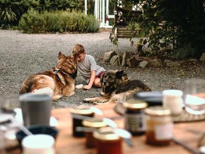 Thumbnail 4 van BoerenBed Les Jardins des Coccinelles