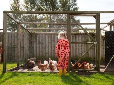 Thumbnail 5 van Kooij Hoeve