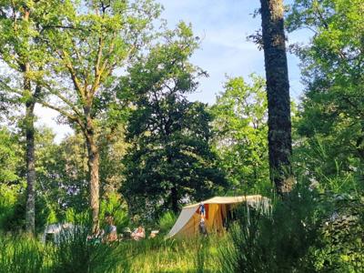 Thumbnail 2 van Montard