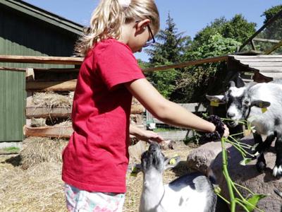 Thumbnail 4 van Rosenvold Strand Camping