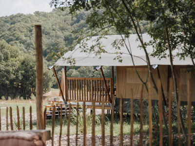 Thumbnail 3 van Sensazione