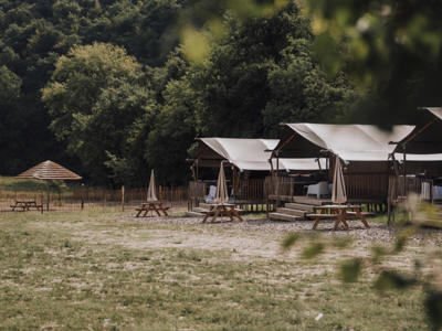 Thumbnail 4 van Sensazione