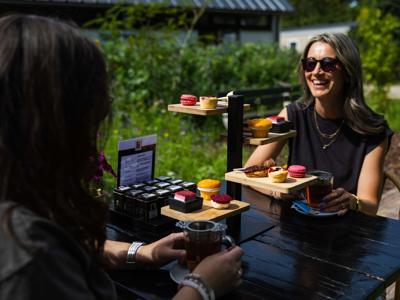 Thumbnail 5 van Het Eperwoud