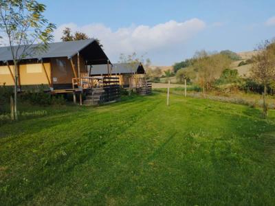 Thumbnail 2 van Suasa