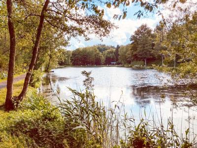 Thumbnail 5 van Reiler