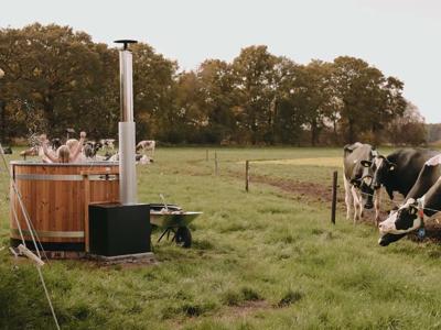 Thumbnail 2 van Boerenbed De Oude Melkstal