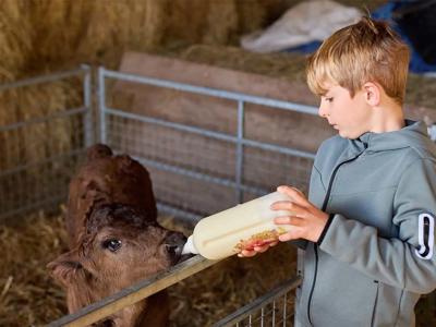 Thumbnail 5 van BoerenBed Foxglove Farm