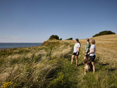 Thumbnail 2 van Emmerbølle Strand Camping