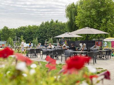 Thumbnail 3 van International