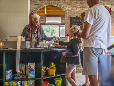 Thumbnail 4 van International