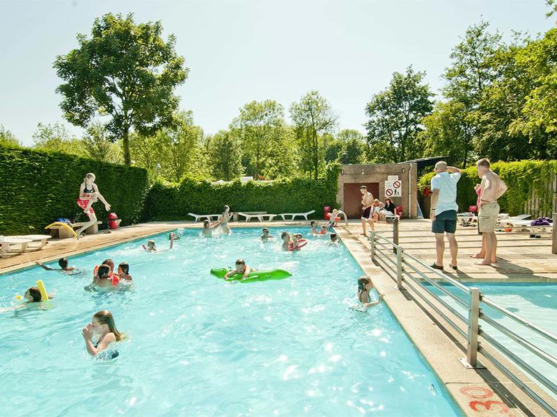 Foto van Delftse Hout