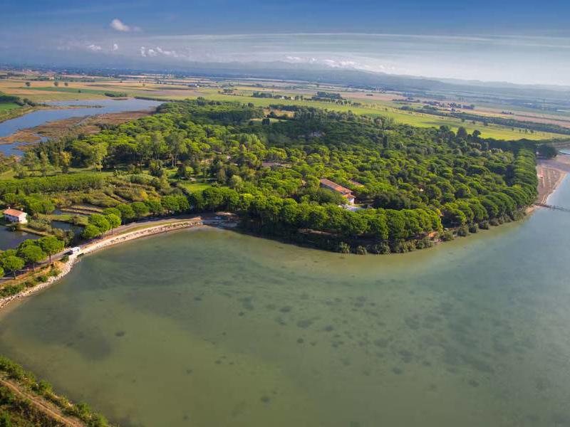 Hoofdfoto van Belvedere Pineta