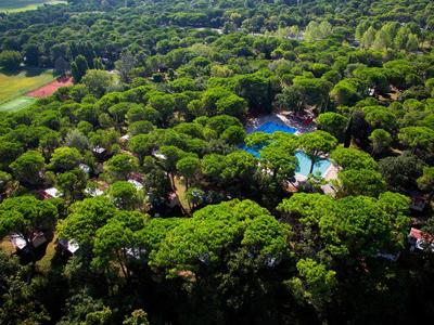 Thumbnail 2 van Belvedere Pineta