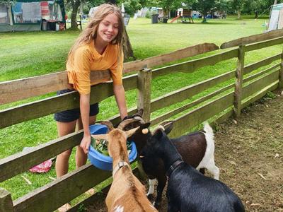 Thumbnail 4 van Le Cheval Rouge