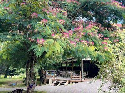 Thumbnail 4 van La Prade