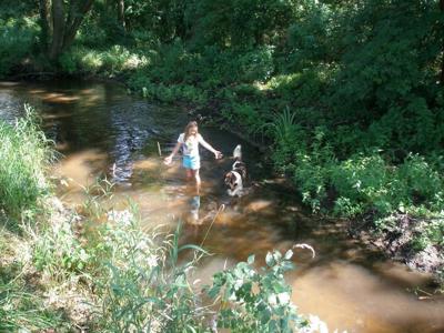 Thumbnail 4 van Am Blanksee