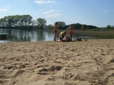 Thumbnail 5 van Am Blanksee