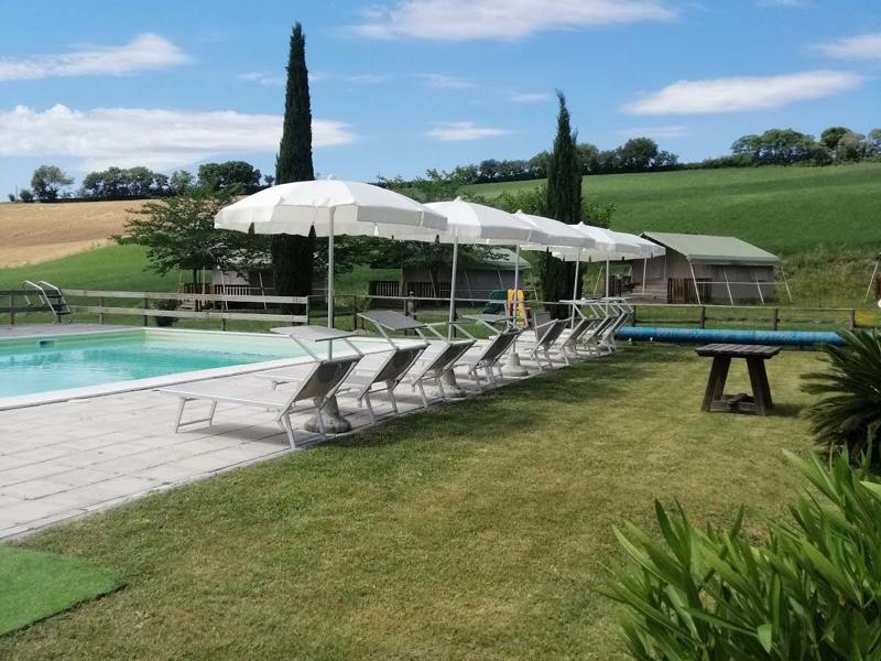 Foto van Tenuta Tredici Ulivi