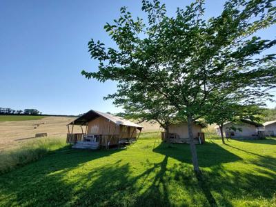 Thumbnail 5 van Tenuta Tredici Ulivi