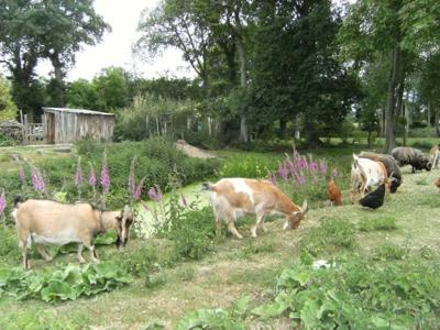 Thumbnail 4 van Le Bois Coudrais