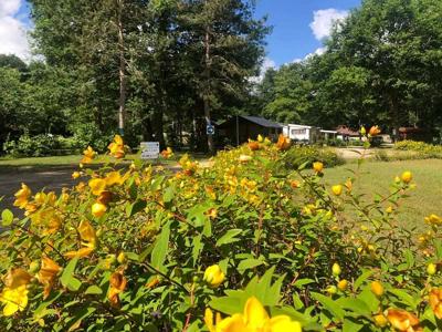 Thumbnail 4 van Etang de la Vallée