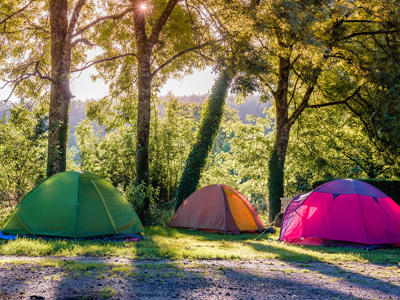 Thumbnail 3 van l'Etang du Goulot