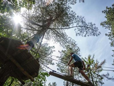 Thumbnail 2 van Landal Arber