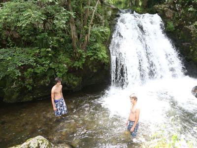 Thumbnail 5 van La Chauderie