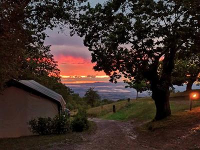 Thumbnail 2 van Lucherino