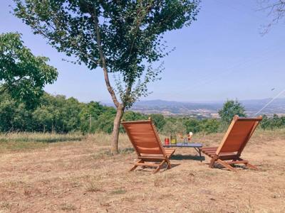 Thumbnail 4 van Lucherino