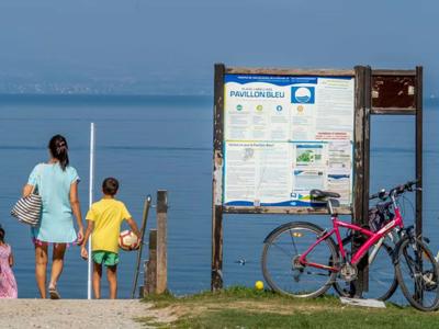 Thumbnail 5 van Saint Disdille 