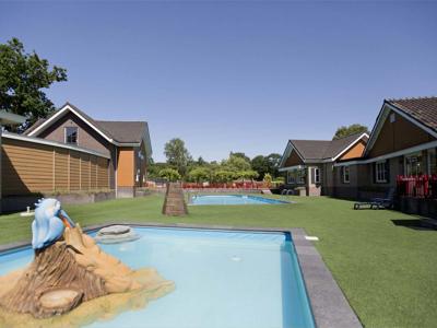 Thumbnail 2 van De IJsvogel