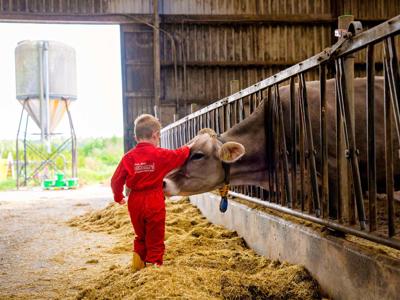 Thumbnail 4 van 't Looveld Farmcamps