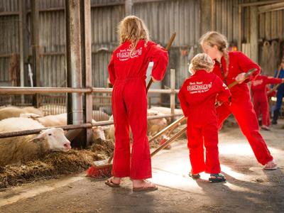 Thumbnail 4 van Mariekerke Farmcamps