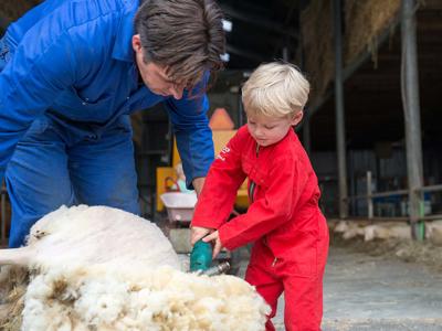 Thumbnail 5 van Mariekerke Farmcamps