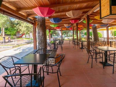 Thumbnail 5 van Brioni