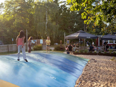 Thumbnail 3 van Tolne