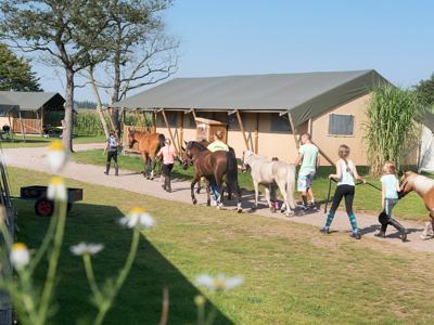 Thumbnail 4 van Breehees Farmcamps