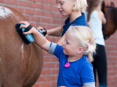 Thumbnail 3 van Breehees Farmcamps