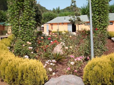 Thumbnail 3 van Bassegoda Park