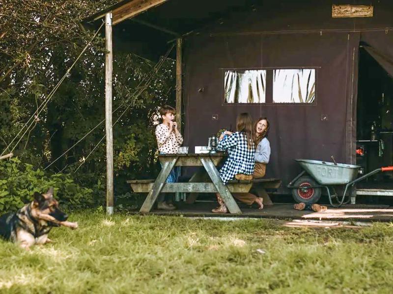 Hoofdfoto van BoerenBed Hoeve De Pippert