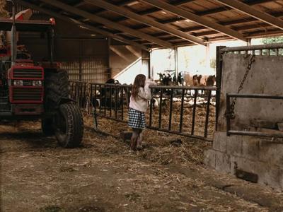 Thumbnail 3 van BoerenBed Hoeve De Pippert