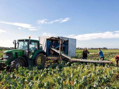 Thumbnail 4 van BoerenBed Hoeve Zeeland