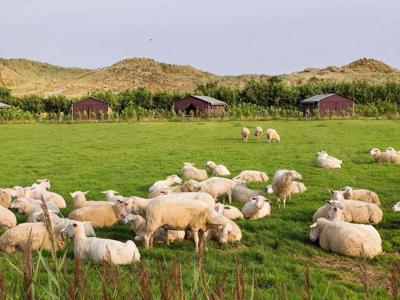 Thumbnail 2 van BoerenBed De Zeekraal